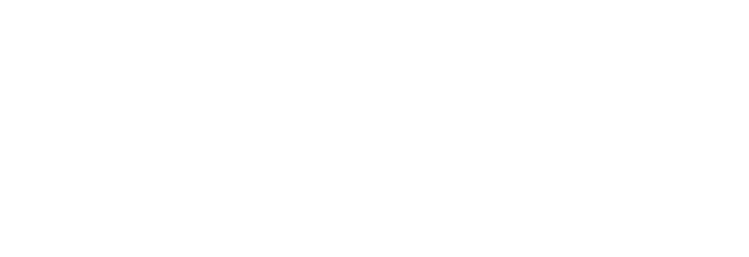 Heidelberg Model United Nations Society e.V.